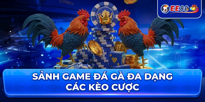 Sảnh game đá gà đa dạng các kèo cược