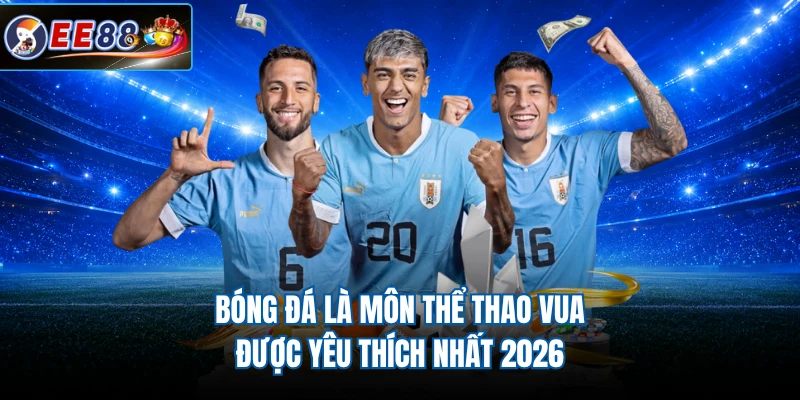 Bóng đá là môn thể thao vua được yêu thích nhất 2026