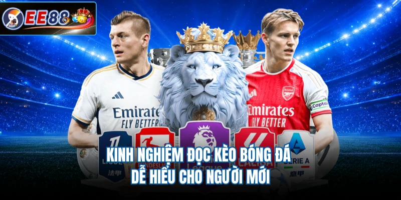 Kinh nghiệm đọc kèo bóng đá dễ hiểu cho người mới